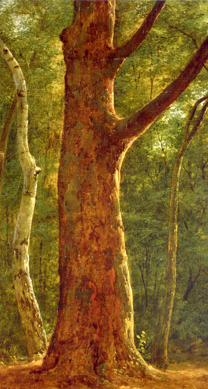06b.jpg