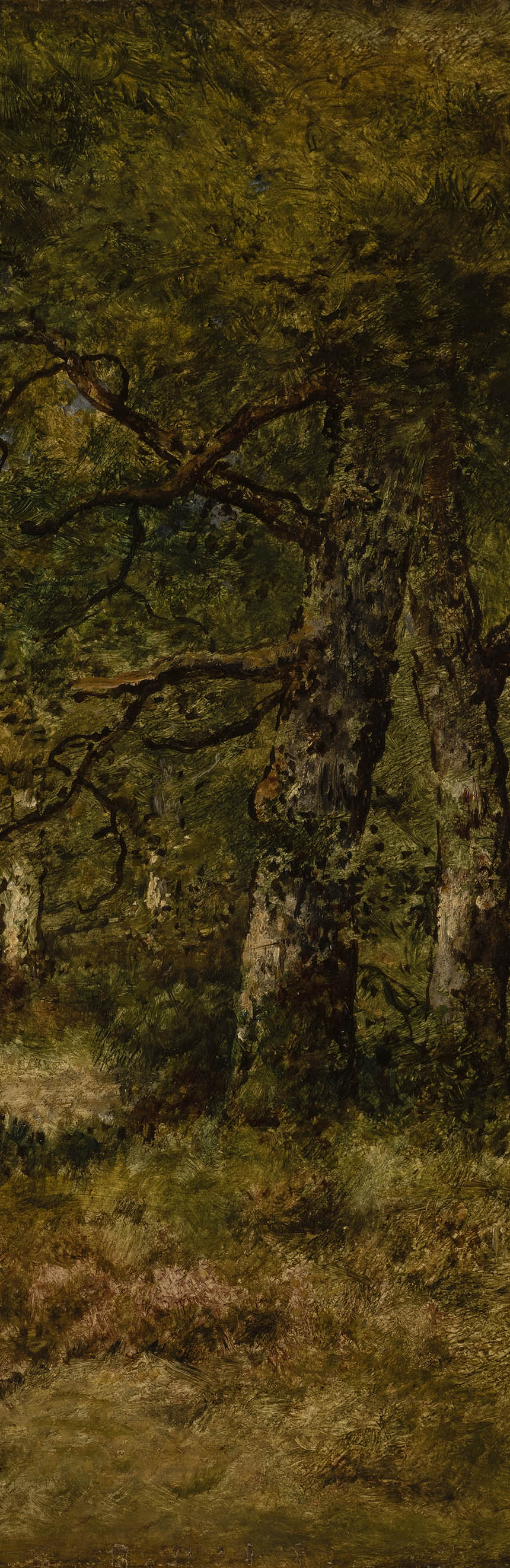 015e.jpg