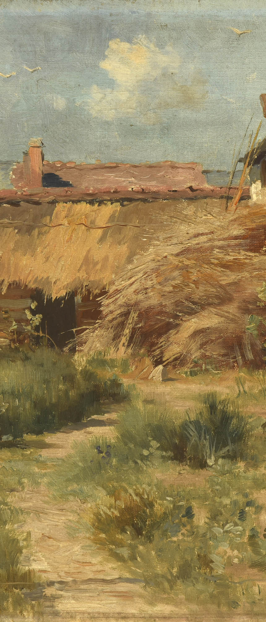 016d.jpg